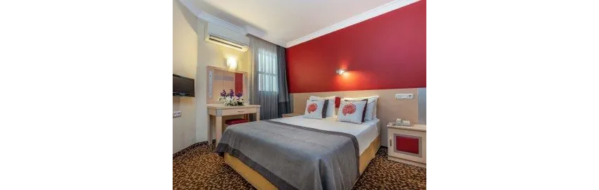 Grand Viking Hotel 4*-17