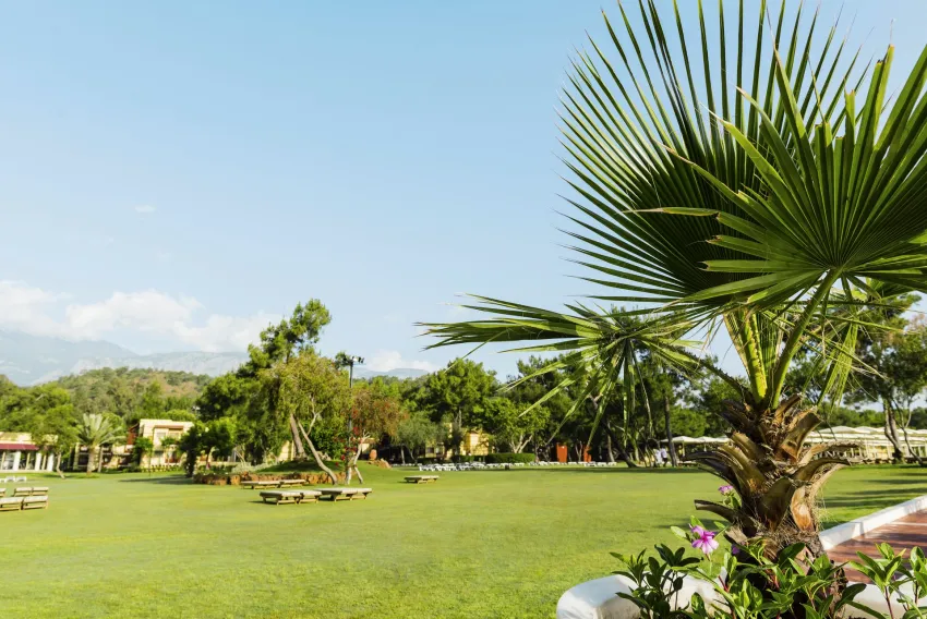 Robinson Club Camyuva 5*-9