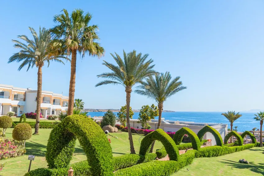 Club Reef Resort 4*-15
