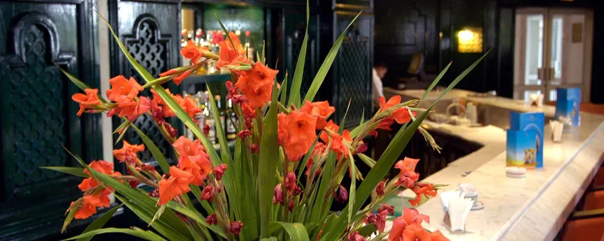 Royal Azur Thalassa 5*-13