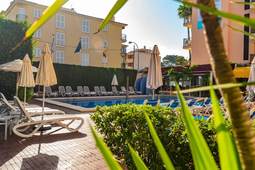 Amoros Hotel 3*-2