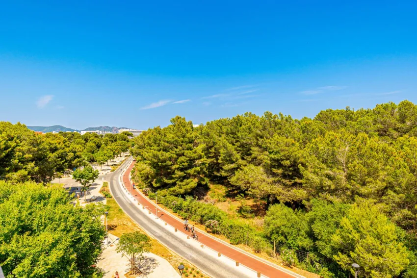 Intelier Rosella 4*-24