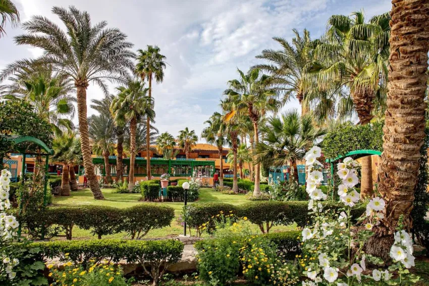 GIFTUN AZUR RESORT  3*-48