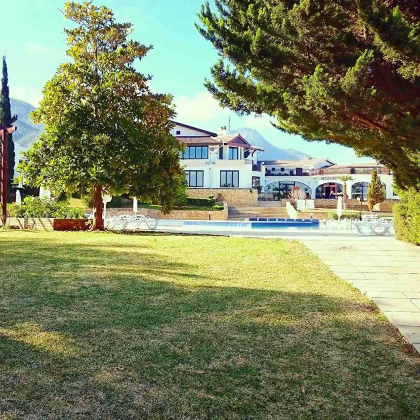 The Olive Tree Hotel 4*-11