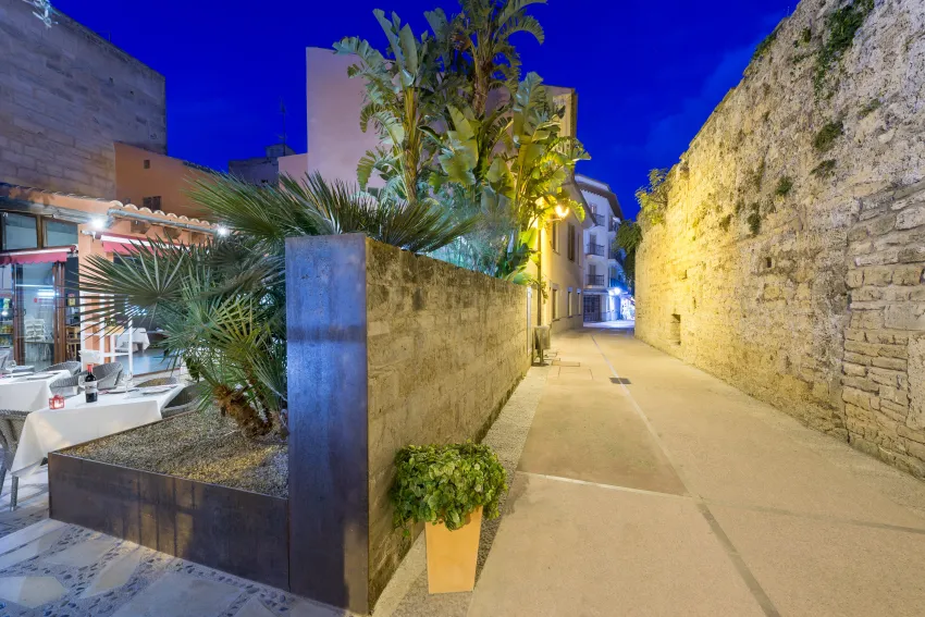 Alcudia Petit Hotels 3*-9