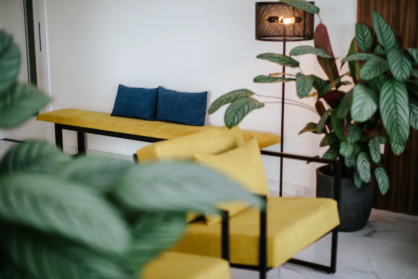 Cosmo Napa Boutique Hotel 3*-12