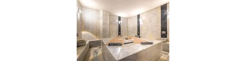 Rose Garden Premium Hotel 4*-13