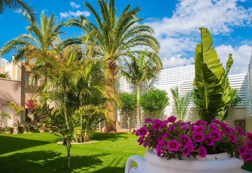 Danaides Apartments 4*-8