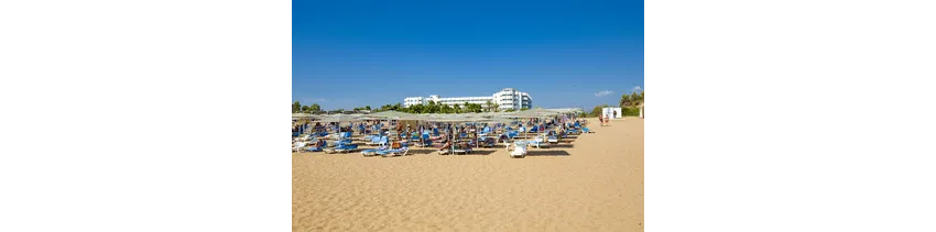 Sural Saray Hotel (Adults Only 16+) 5*-19