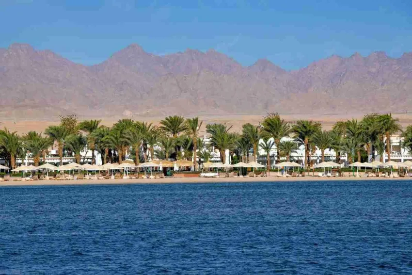 Menaville Safaga 4*-5