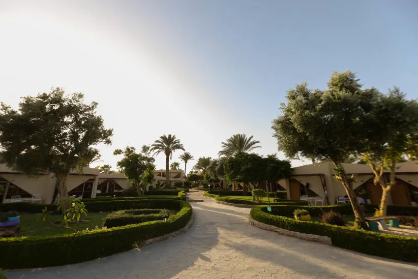 Paradise Abu Soma Ex Solymar Paradise 4*-28