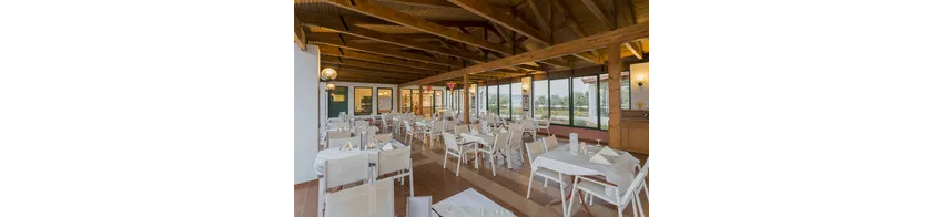 Dessole Dolphin Bay 4*-55