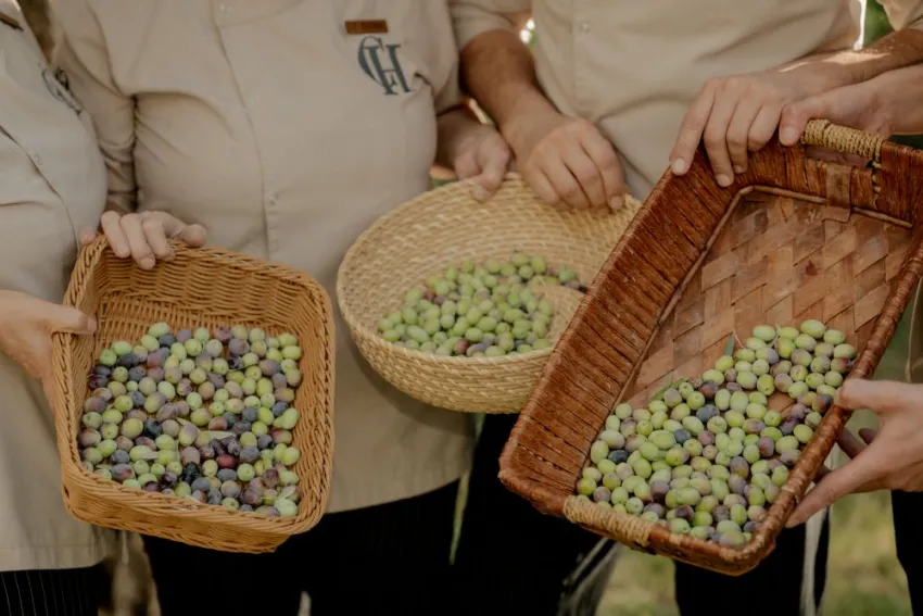 CASTIVAL HOTEL  5*-2