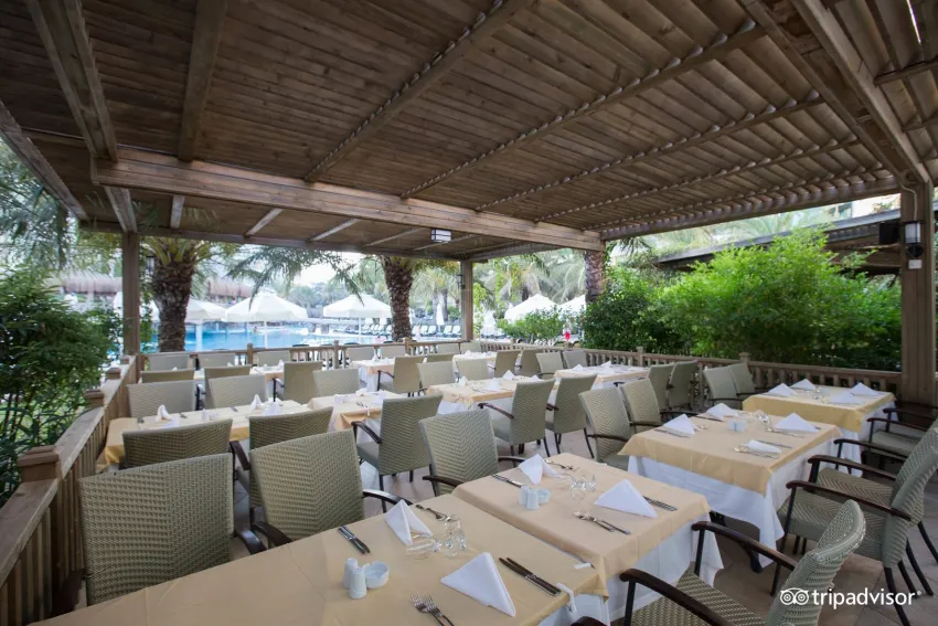 Royal Wings Hotel 5*-4