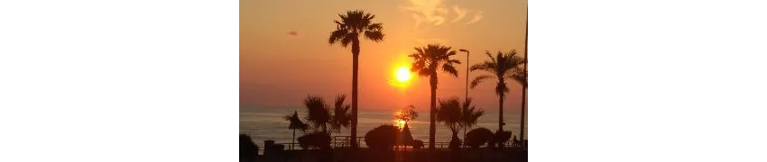 Xeno Eftalia Resort 4*-3