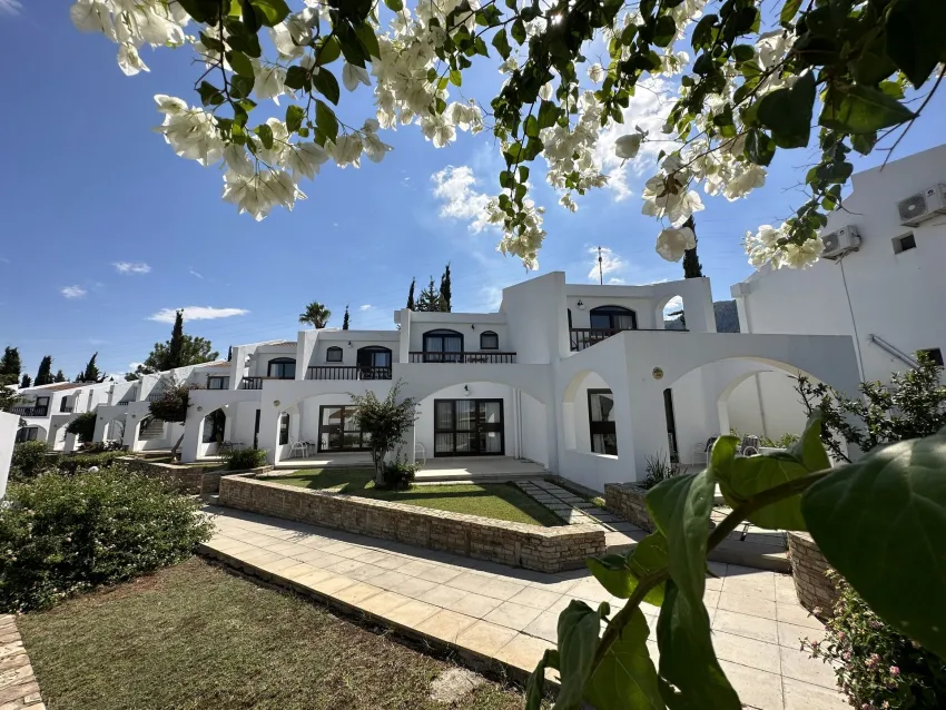 The Olive Tree Hotel 4*-3