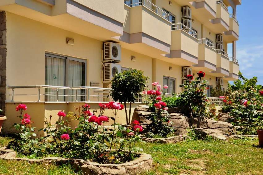 Lavitas Hotel 4*-6