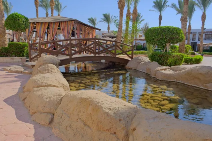 CORAL HILLS RESORT SHARM EL SHEIKH  4*-76