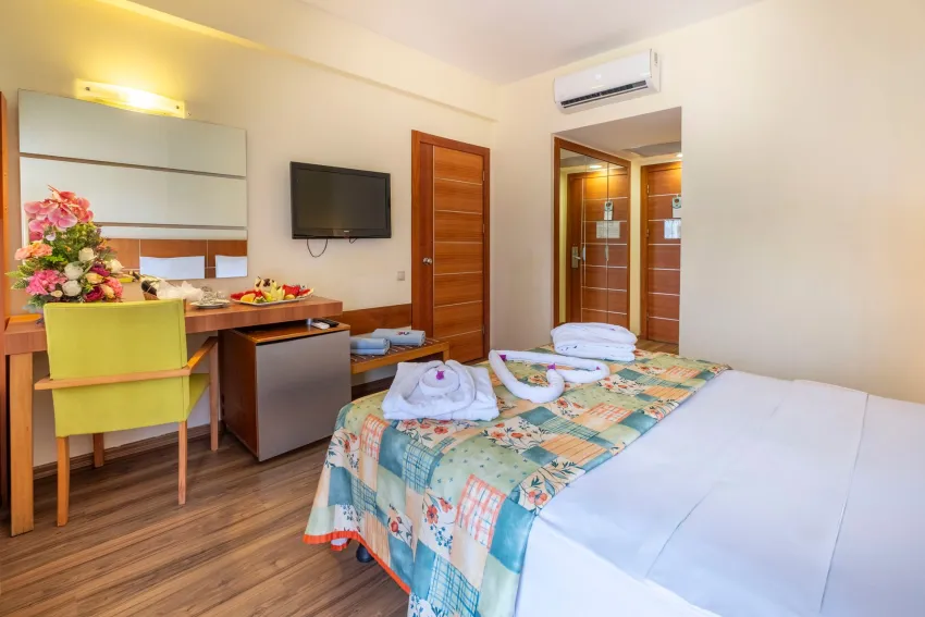 Viking Park Hotel & Spa 4*-28