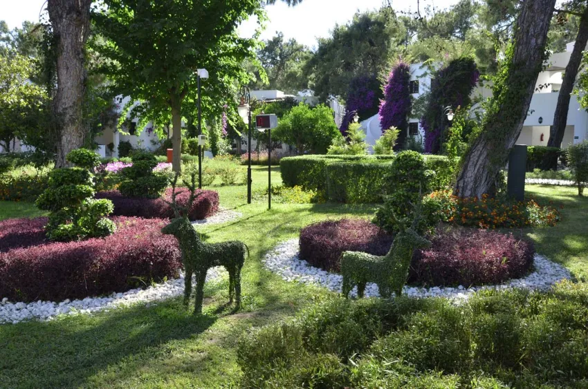 Emelda Sun Club 5*-7