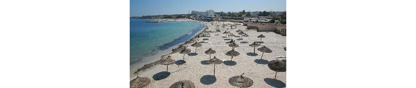 Hotel Les Palmiers 2*-50