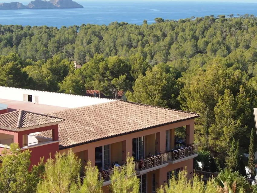 Hotel Bordoy Don Antonio 4*-7