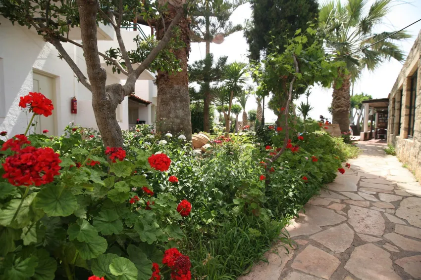 Classic Apartments 2*-4