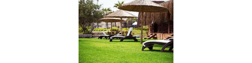Flora Garden Beach (Adults Only 16+) 5*-86