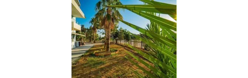 Prenses Sealine Beach Hotel 4*-26