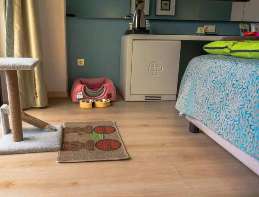 CASTIVAL HOTEL  5*-51