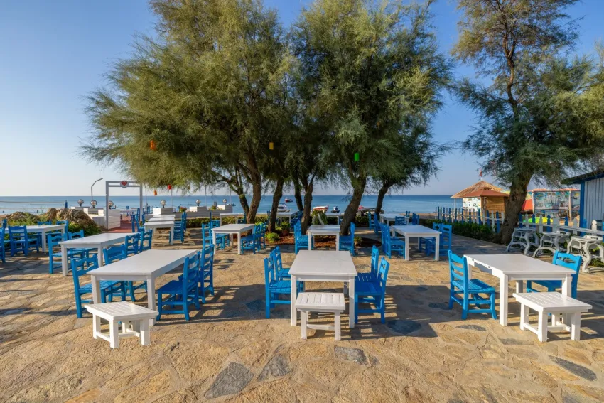 Crystal Tat Beach Pearl Collection 5*-24