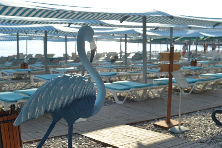 Lancora Beach Hotel 4*-55
