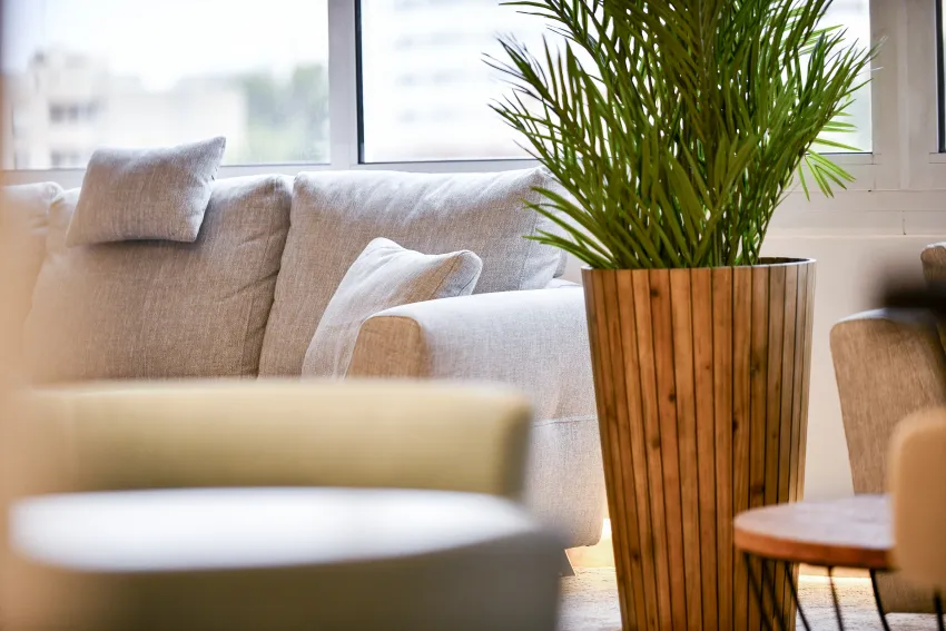 Salles Hotel Marina Portals 4*-7