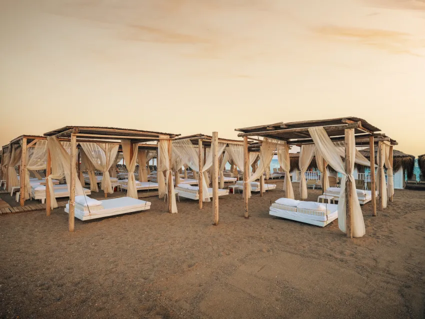 Asteria Bloom Side (Ex: Selectum For Two Side) 5*-24