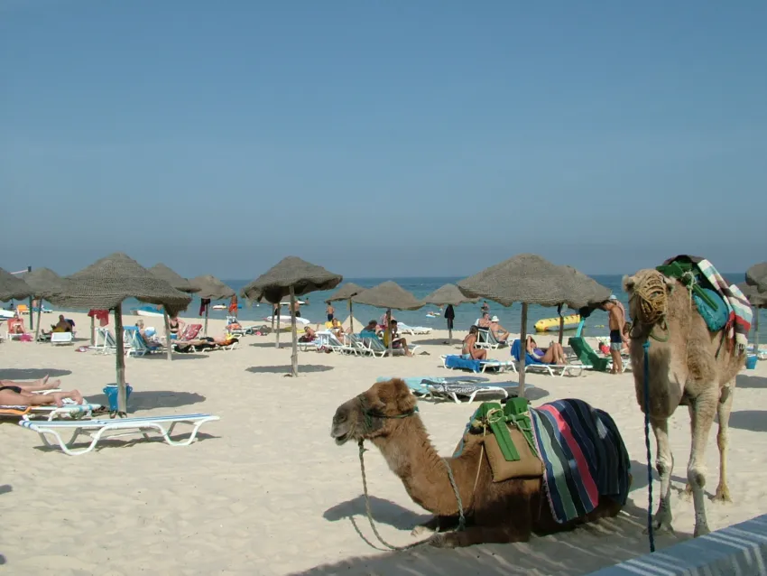 Liberty Resort 4*-12