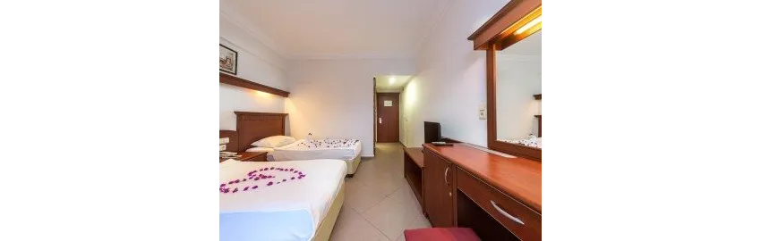 Wasa Hotel 3*-13