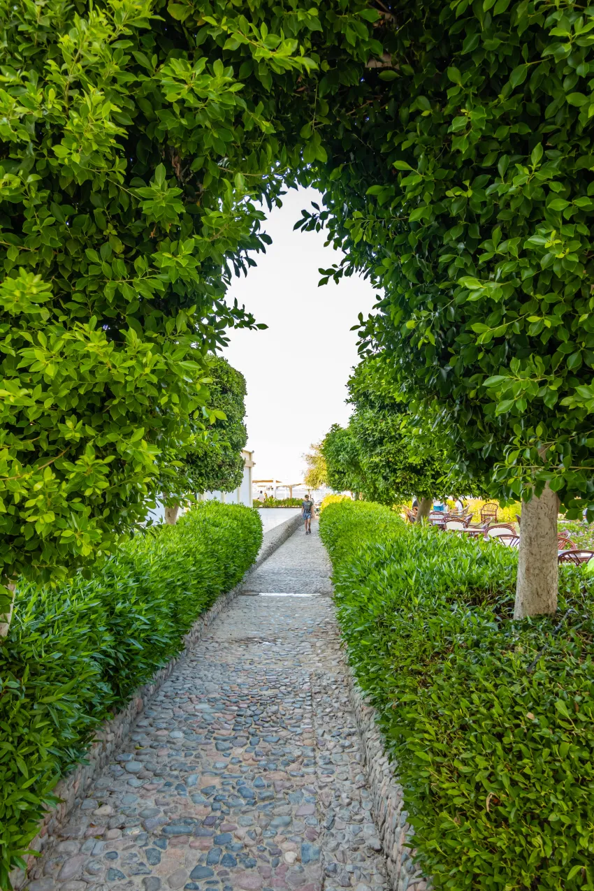 Magic Beach Hotel 4*-16