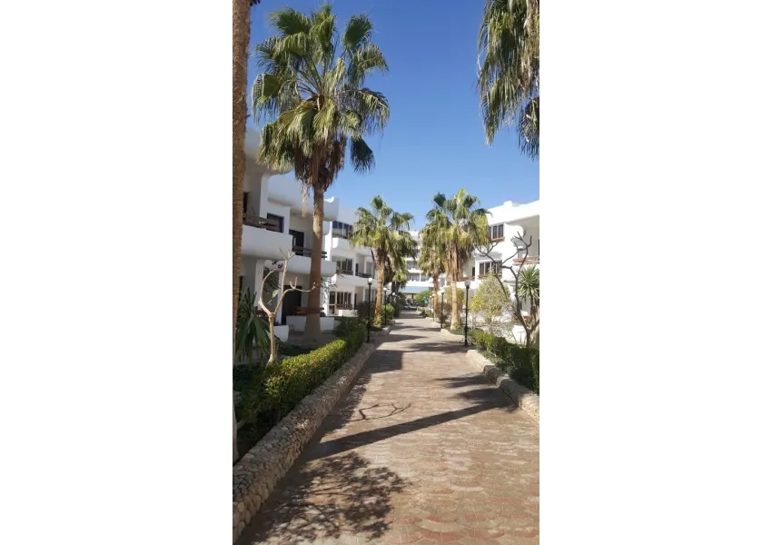 Marlin Inn Azur Resort 3*-9