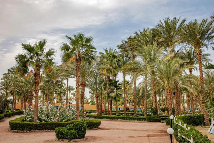 GIFTUN AZUR RESORT  3*-36