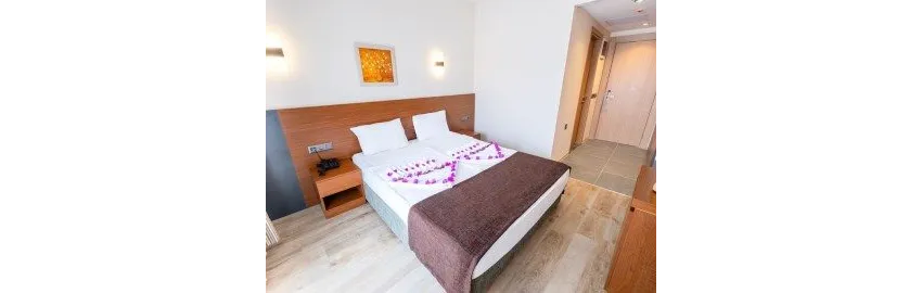 Viking Express Hotel 3*-6