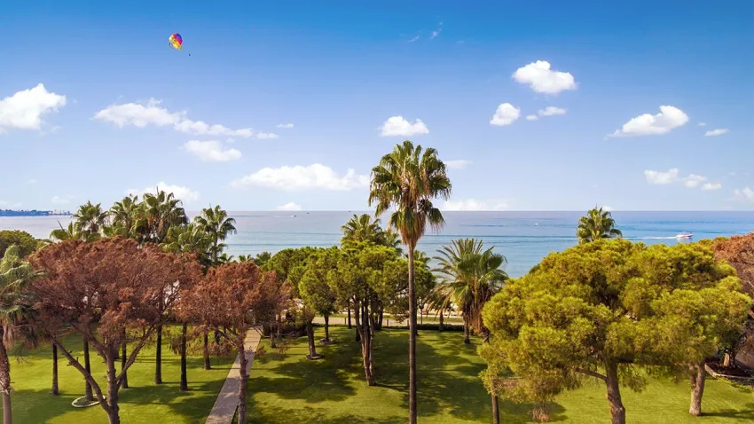 ACANTHUS & CENNET BARUT COLLECTION  5*-46