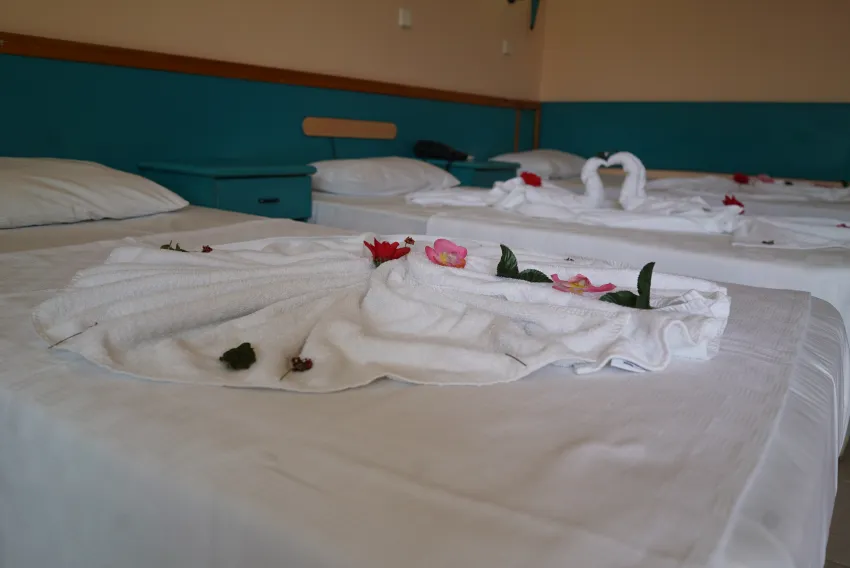 Kleopatra Sunlight 3*-24