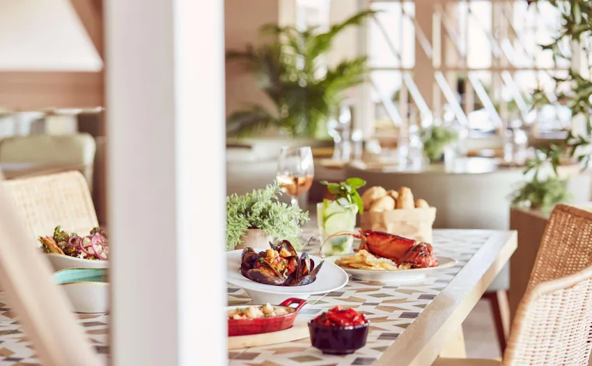 Zafiro Palace Andratx 5*-142