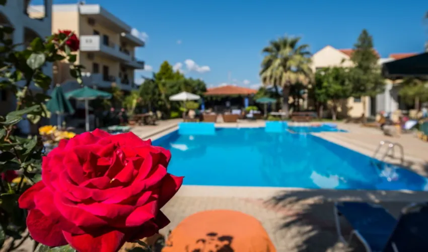 Nireas Hotel 2*-56