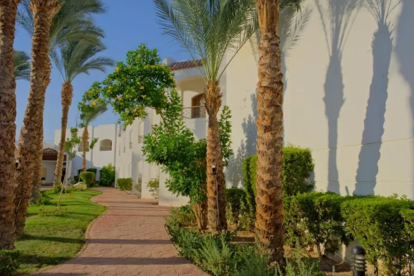 CORAL HILLS RESORT SHARM EL SHEIKH  4*-81