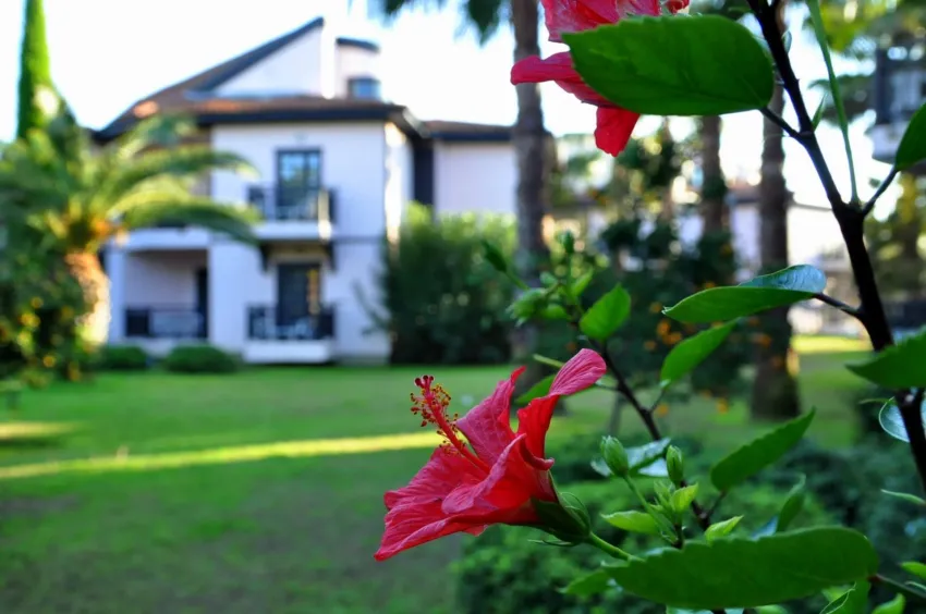 Starlight Resort Hotel 5*-14