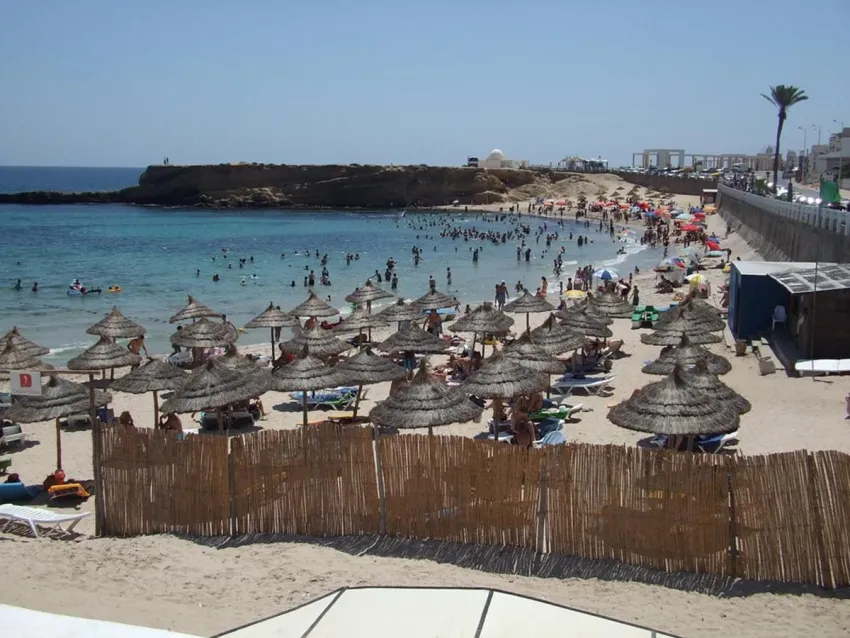 Delphin El Habib 4*-8