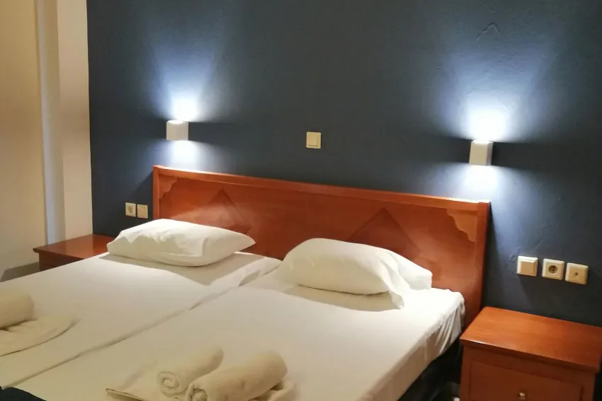 Eleni Beach Hotel 3*-9