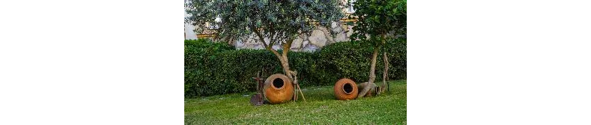 Side Village Hotel 4*-11