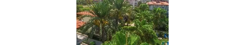 Sunlight Garden Hotel 3*-3